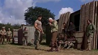 p4rszywa dwunastka 1967