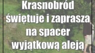 Krasnobród świętuje i zaprasza na spacer wyjątkową aleją