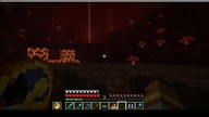 In fact, its interesting that there are fungi growing in the Nether #minecraft #gaming #game #Short