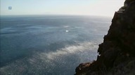 Gepardy oceanicznych głębin
