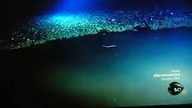 PŁASKA  ZIEMIA  oceans floor ang