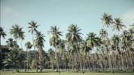 A Relaxing & Melodic Progressive House Virtual Video Mix