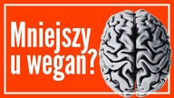 Wegetarianie cierpią na depresję i mają mniejsze mózgi? Sprawdźmy!