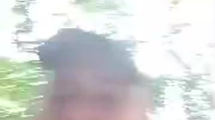 Słoneczny Pies Rubik! Letni, gorący spacer po lesie pod Koszalinem! Dyskusje i Q&A w lesie! Sharp