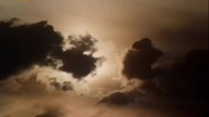WIDZIADŁO (1984)