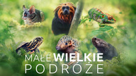 Małe wielkie podróże S01E01 Lektor PL