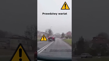 Prawdziwy wariat #shorts #rikordwidjo