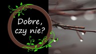 Co robić z ciętymi pędami?
