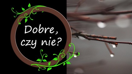 Co robić z ciętymi pędami?