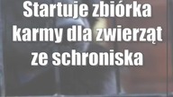 Startuje zbiórka karmy dla zwierząt ze schroniska