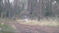 Świnia po Czarnobylu ? cz1 / Chernobyl pig