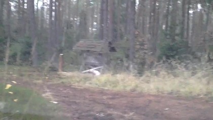 Świnia po Czarnobylu ? cz1 / Chernobyl pig