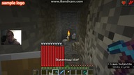 Enderman 2 (365)