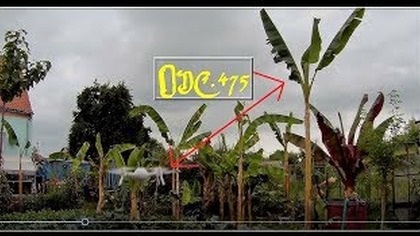 Odc. 476-Testy drona, widoki w ogrodzie i wylot za wioskę ;)