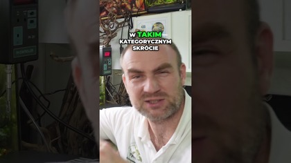 Nawożenie akwarium w upały?  Dlaczego tego NIE robię!