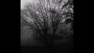 Kira Avalon - Ruins