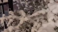 A Nasze Kolędy są Piękne