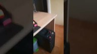 zajawka że studia ;))