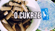 CUKIER W DIECIE KONI