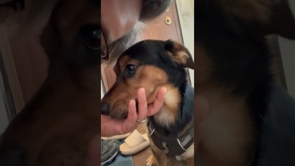 POZWÓLCIE MŁODYM ROBIĆ SWOJE  #reels #mocwsłabości