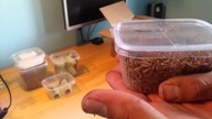 Unpacking przesyłki od BUGSTORE !