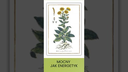 Naturalny Energetyk Mocniejszy Niż Kawa.