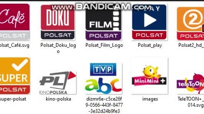 Cyfrowy TVP GO