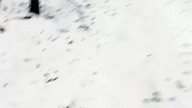 Szansa medalowa dla Polski! 10. 000 na łyżwach- Władimir Siemirunnij jedzie o 16 Igrzyska Olimpijski
