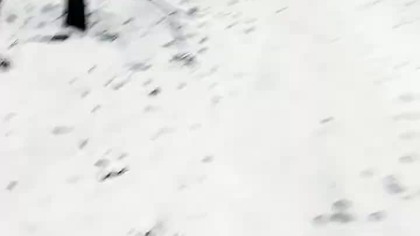 Szansa medalowa dla Polski! 10. 000 na łyżwach- Władimir Siemirunnij jedzie o 16 Igrzyska Olimpijskie