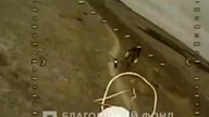 Wojna Rosja-Ukraina Rosjanin poskramia ukrainskiego drona