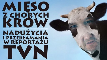 Analiza reportażu TVN o polskiej wołowinie