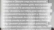 niech mi ktoś to wytłumaczy podejrzana o chorobę psychiczną i korupcja Anna Cieślar daje jej dzieci