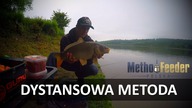 Karpie z dystansu na metod feeder + QA - 2/2