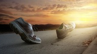 Road to the Dream
