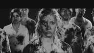 DLA KONTRASTU - List otwarty