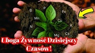1944.  Uboga Żywność Dzisiejszych Czas&oacute;w!