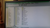 IBM z 1994 - Jakie dane w środku?