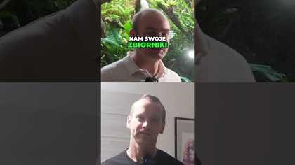  Zbiorniki prezesa GSA, jak wyglądają #akwarium #akwarystyka