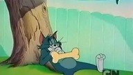 Tom i Jerry 39 (Dubbing PL)