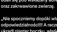 Zwyrodnialec uciął kotu język #subskrybuj #news