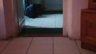 Uwaga na prace na farmie