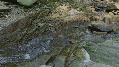 Forest Stream Current for Study Natural Water Flow Over Rock Layers