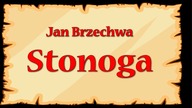 Stonoga - Jan Brzechwa - znane wierszyki dla dzieci czytane do poduszki