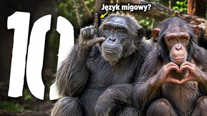 10 faktów o zwierzętach, którymi zaskoczysz znajomych [TOPOWA DYCHA]