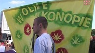 Marsz Wyzwolenia Konopi 2010