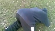 Bąk