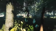 The Forest [MONTAGE/MIX] /w Duki