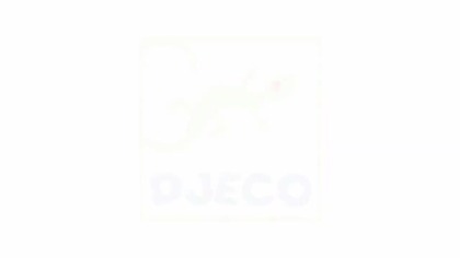 Kinoptik Pojazdy Djeco