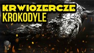 10 NAJWIEKSZYCH KROKODYLI