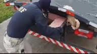 LiveLeak - Road federal police found 20 Million dollars